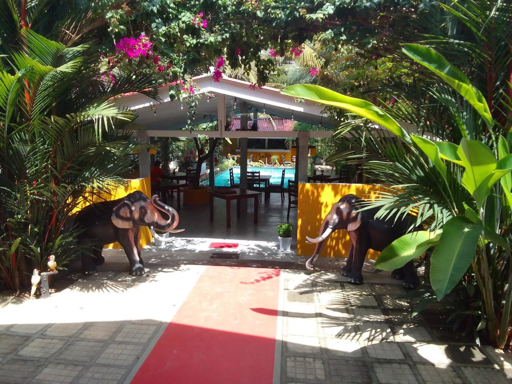La Perla Bentota Hotel Exterior photo